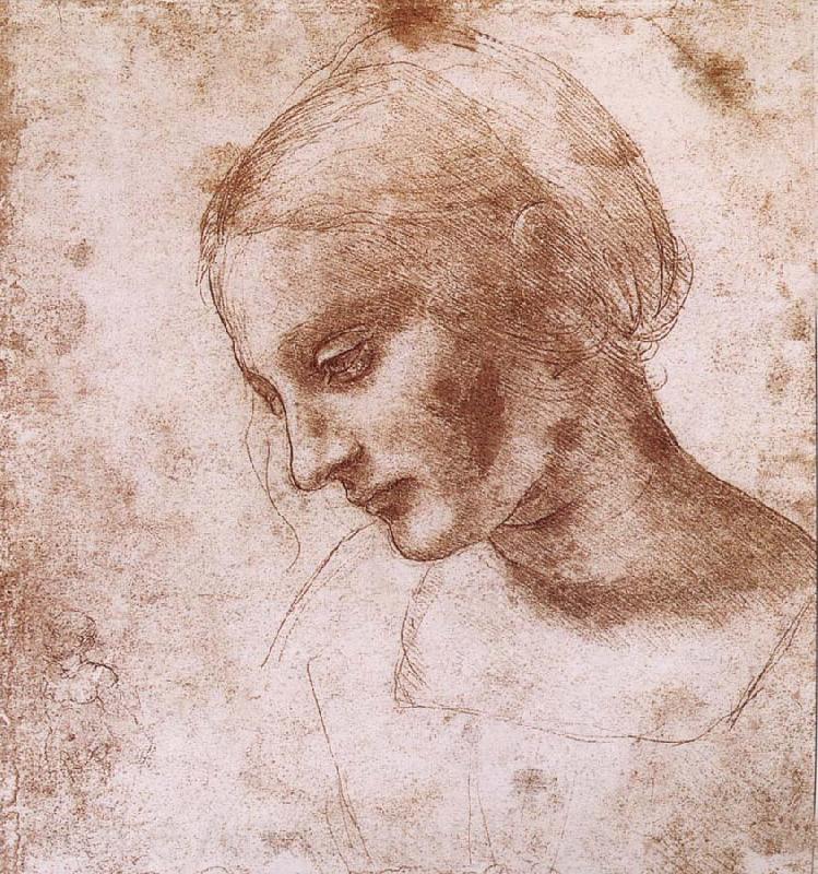 LEONARDO da Vinci Study fur a women head Norge oil painting art